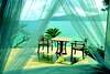 Royal Davui Island Resort 